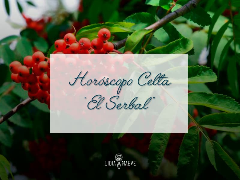 Horóscopo Celta «El Serbal» – Lidia Maeve
